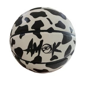 custom ball basketball
